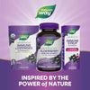 Nature’s Way Sambucus Elderberry Gummies