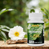 BSYS Chlorophyll Capsules  Fat Metabolism Detox Supplemen
