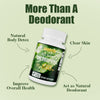 BSYS Chlorophyll Capsules  Fat Metabolism Detox Supplemen